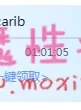 かり美びあんず ～美しすぎる２人のラブラブレズえっち～【1V/2.1g】【种子】